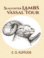 Slaughter Lambs