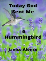 Today God Sent Me a Hummingbird