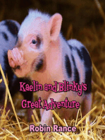 Kaelin And Blinky's Great Adventure
