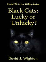 Black Cats: Lucky or Unlucky?
