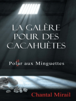 La galère pour des cacahuètes: Pol(it)ar aux Minguettes