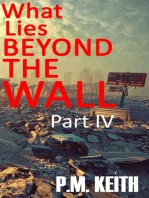 What Lies Beyond The Wall