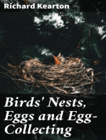 Birds' Nests, Eggs and Egg-Collecting