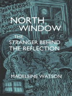 North Window: The Stranger Behind the Reflection