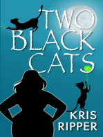 Two Black Cats: A Rocky Fitzgerald Paranormal Cozy Mystery, #2
