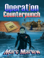 Operation Counterpunch