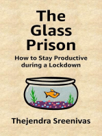 The Glass Prison: How to Stay Productive during a Lockdown
