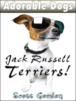 Adorable Dogs: Jack Russell Terriers: Adorable Dogs