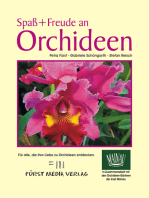 Spaß + Freude an Orchideen: Für eine immer wiederkehrende Blütenfülle