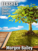 Flashes ~ Shorter Short Stories