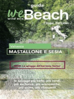 weBeach - Mastallone e Sesia