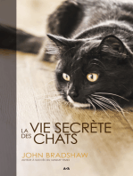 La vie secrète des chats
