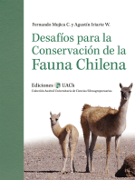 Desafíos para la conservación de la fauna chilena: Hacia un correcto provecho de los recursos zoogenéticos