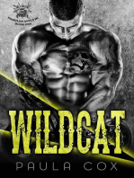 Wildcat (Book 1): Heartless Devils MC, #1