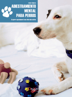 Adiestramiento mental para perros