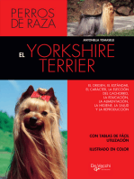 El yorkshire terrier