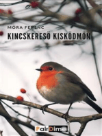 Kincskereső kisködmön