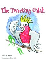 The Tweeting Galah