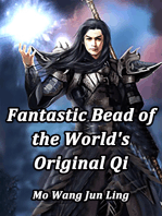 Fantastic Bead of the World's Original Qi