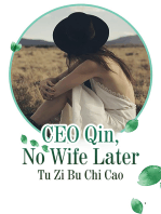 CEO Qin, No Wife Later: Volume 8