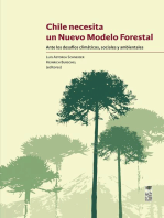 Chile necesita un nuevo modelo forestal: Ante los desafíos climáticos, sociales y ambientales
