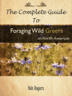 The Complete Guide to Foraging Edible Wild Greens in North America