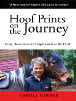 Hoof Prints on the Journey: Every Horse Owner’s Simple Guide to the Hoof