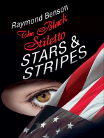The Black Stiletto: Stars & Stripes: The Third Diary