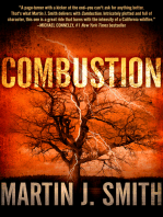 Combustion