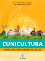 Cunicultura: didática e prática na criação de coelhos