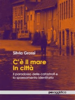 C'è il mare in città: Il paradosso delle catastrofi e lo spaesamento identitario