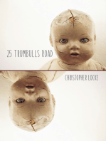 25 Trumbulls Road