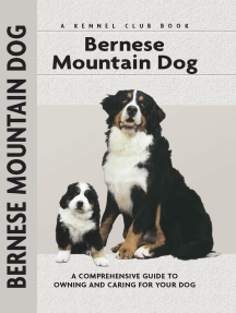 bernese mountain dog puppies for sale trading post