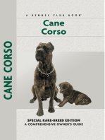 Cane Corso: Sports and Resistance in the United States