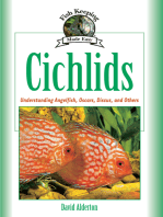 Cichlids: Understanding Angelfish, Oscars, Discus, and Others