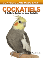 Cockatiels: A Guide to Caring for Your Cockatiel