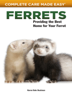 Ferrets: Providing the Best Home for Your Ferret