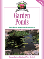 Garden Ponds: Basic Pond Setup And Maintenance