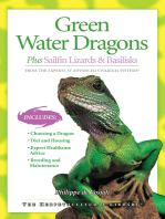 Green Water Dragons