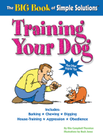 The Big Book of Simple Solutions: Training Your Dog