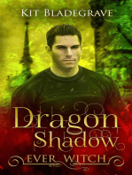 Dragon Shadow: Ever Witch, #5