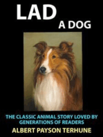 Lad A Dog: The Classic Animal Story Loved by Generations of Readers