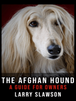 The Afghan Hound