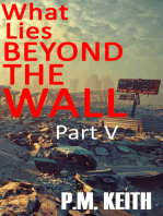 What Lies Beyond The Wall: Part V