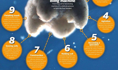 How To Make A Living Machine - How It Works | Everand
