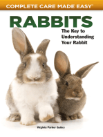 Rabbits: The Key to Understanding Your Rabbit