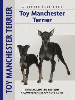 Toy Manchester Terrier