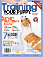 Training your Puppy