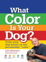 What Color Is Your Dog?: Train Your Dog Based on His Personality "Color"