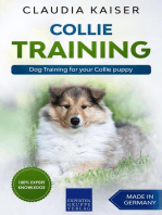 Collie Training - Dog Training for your Collie puppy: Collie Training, #1